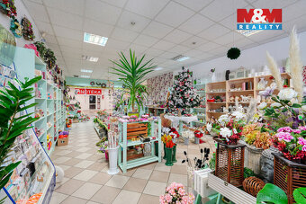 Pronájem květinářství, 133 m², Třemošná, ul. Plzeňská - 11