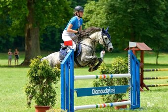 Připouštění hřebcem ČSP 2352 Lucky - 11