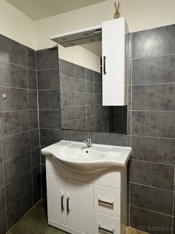 Pronajem byt 2kk v RD, spolecna zahrada - 11