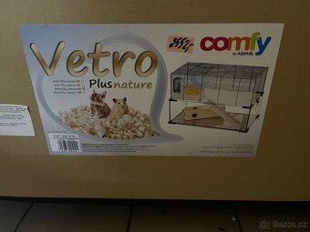 Křeček Syrský nar. 6.3.2026 - 11