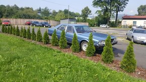 Maserati Quattroporte III.serie - 11