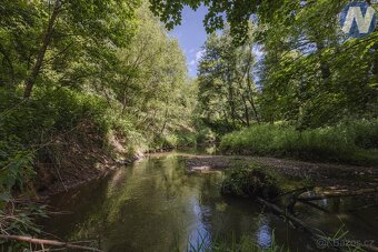 Prodej soustavy rybníků 1939 m2, Kříženec u Mariánských Lázn - 11
