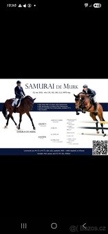 Letošní hřebeček - 11