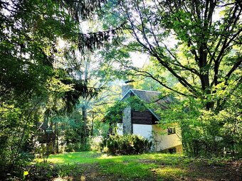 Prodej chaty, 65 m2, Erpužice-Malovice - 11