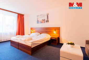 Prodej bytu 1+1, 42 m², Frymburk - 11