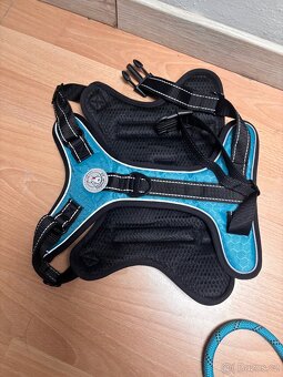 Obojek - vodítko - postroj - 11