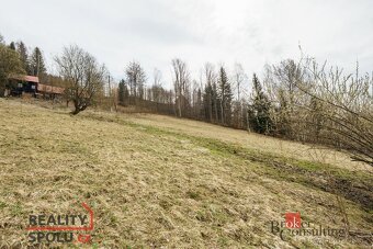 Prodej, pozemky/louka, 3901 m2, Dolní Rokytnice , Rokytnice  - 11