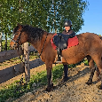 Huculská klisna, hucul, rekreace, vyjížďky, hipoterapie. - 11