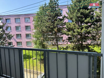 Pronájem bytu 1+1, 34 m², Jílové, ul. Okružní - 11