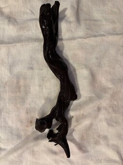 Kořeny do akvária - 11