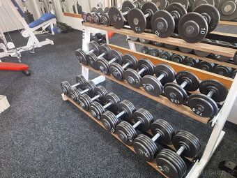 Pevné profi jednoruční činky 2,5 - 100kg - 11