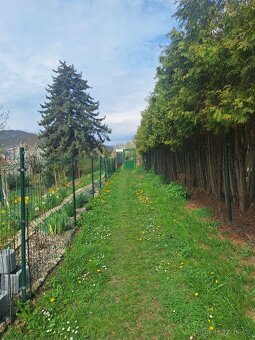 Prodej zahrady v centru města Ústí nad Labem - 11