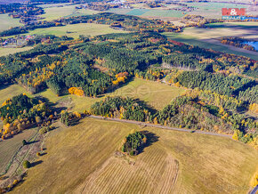 Prodej zemědělského pozemku 44621m2, Stráž u Tachova - 11