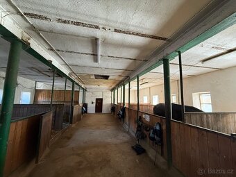 Ustájení Statek Hněvšín - 11
