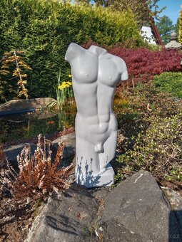 Torzo mužského těla 50 cm - 11