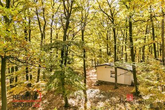 Prodej, domy/chata, 25 m2, Kníničky E290, 63500 Brno-Kníničk - 11