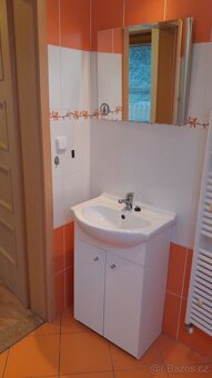 Garsonka v rodinném domě - 11