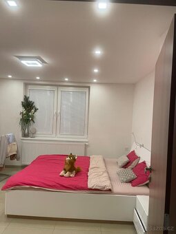 Pronájem pokojů nebo celého bytu - 11