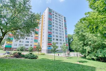 Pronájem družstevní garsoniery/33m2 - ul. Adamusova, Orlová  - 11