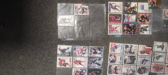 Hokejové kartičky - 11