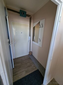 Milevsko 1+1+balkon+sklep-pronájem bytu - 11