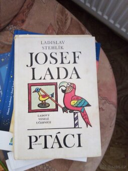 Dětská literatura - 11