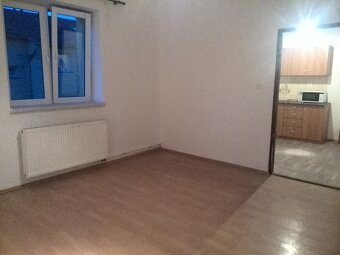 Pronajmu byt 1+1 50m2 v Ostravě se zahradou - 11