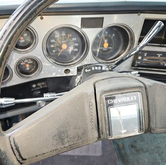 Chevrolet C10 - 11