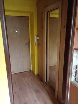 Prodám byt 1+1 v HSM - 11