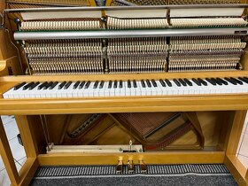 Německé pianino Euperte - C. Bechstein se zárukou 5 let. - 11