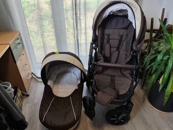 DorJan Butterfly - 11