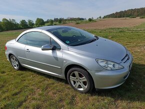 Peugeot 307cc cabrio - 11