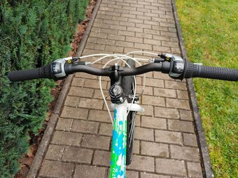 Superior XC 24" Paint - 11