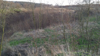 Zahrada, rokle, pozemek k rekeraci,10.731m2, Bechlín u RCE - 11