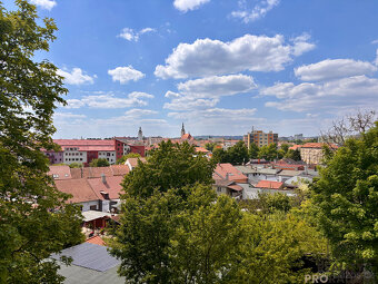 Prodej bytu 1+1 DB , ul. Hybešova, Vyškov - Předměstí, okres - 11