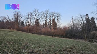Prodej lesů, 55 558 m², Rybí - 11