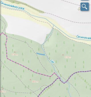 Lesní pozemek Červený Hrádek u Dačic - 11