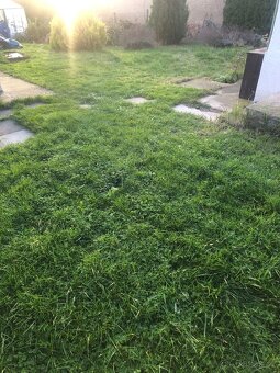 🏡Pronájem bytu 1+1 se zahradou – Petkovy u Mladé Boleslavi - 11