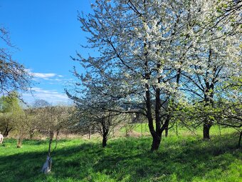 Nabízím k prodeji chalupu na okraji Šumavy – Kovčín, okr.KT - 11