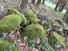přírodní kameny, částečně porostlé mechem - 11