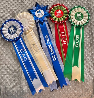 Peruansky naháč s PP - 11