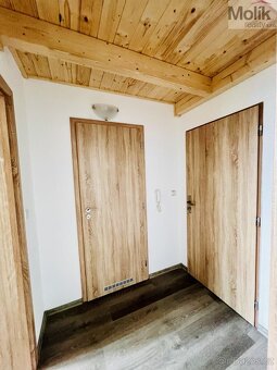 Pronájem bytu 1+kk 38 m2 - 11