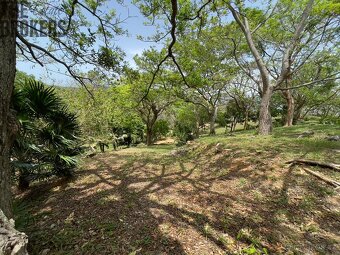 LOT 5 Bodden Bight Estate, Roatan - 11