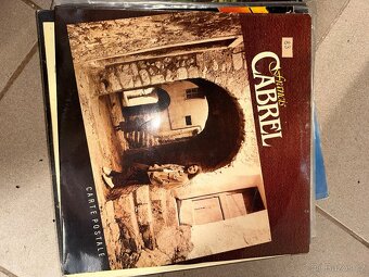 Vinylové gramodesky - 11