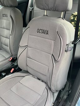 Octavia 1 - 11