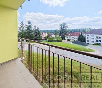 Pronájem prostorného bytu 1+kk (48 m2) v Lukách nad Jihlavou - 11