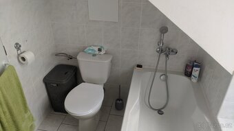 Pronájem bytu 1+1 Uherský Brod - 11