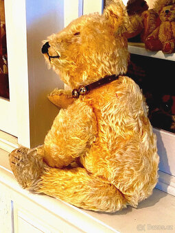 Starý medvídek Steiff s raným knoflíkem V 46 cm 20. léta 20. - 11
