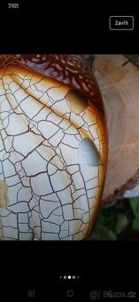 Váza s krakeláží - 11