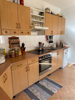 RD 5+1 Rakvice, CP 439 m2, sklep, dvůr - 11